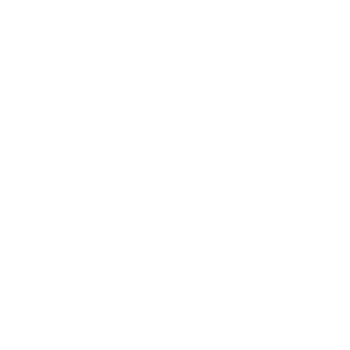 donut icon