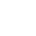 butterfly icon white